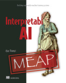 Interpretable AI