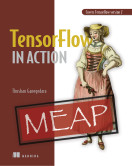 TensorFlow 2.0 in Action
