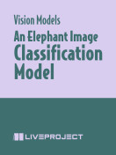 An Elephant Image Classification Model