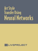 Art Style Transfer Using Neural Networks