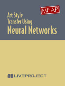 Art Style Transfer Using Neural Networks