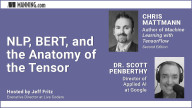 NLP, BERT, and the Anatomy of the Tensor