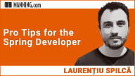Pro Tips for the Spring Developer