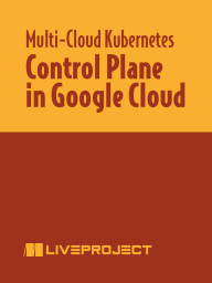 Control Plane in Google Cloud