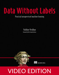 Data Without Labels Video Edition