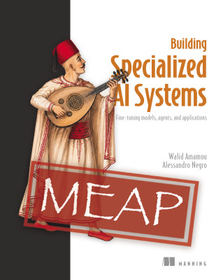 Building Specialized AI Systems