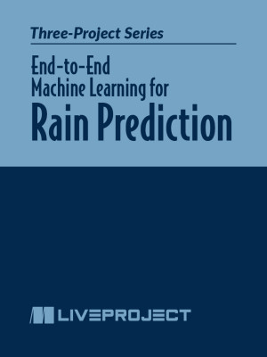 End-to-End Machine Learning for Rain Prediction