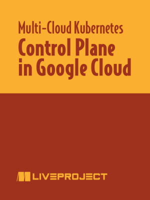Control Plane in Google Cloud