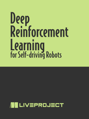 Deep Reinforcement Learning for Self-Driving Robots