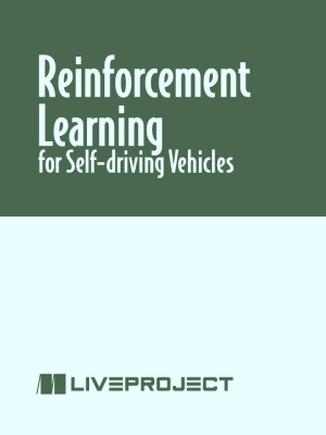 Reinforcement Learning for Self-driving Vehicles