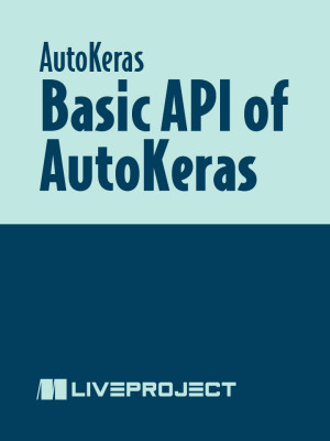 Basic API of AutoKeras