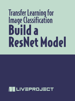 Build a ResNet Model