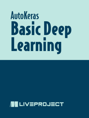 Basic Deep Learning
