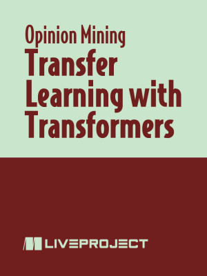 Transfer Learning with Transformers