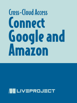 Connect Google and Amazon