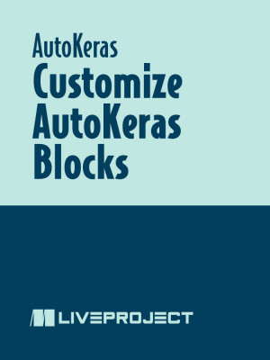 Customize AutoKeras Blocks