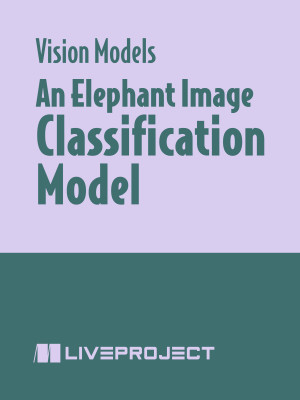 An Elephant Image Classification Model