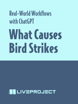 What Causes Bird Strikes