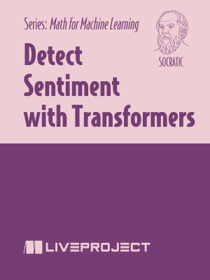 Detect Sentiment with Transformers, Socratic