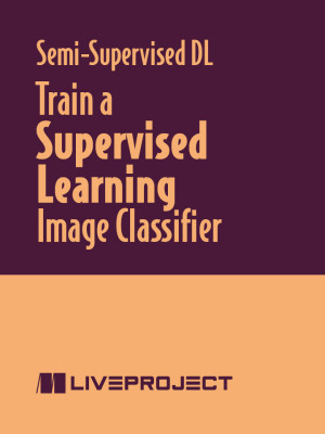 Train a Supervised Learning Image Classifier