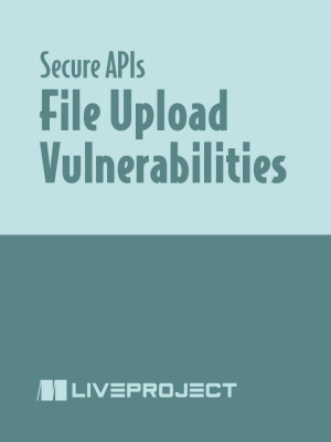 File Upload Vulnerabilities
