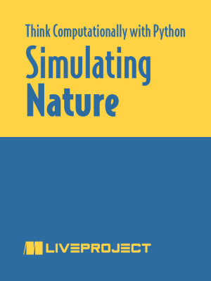 How to Think about Simulating Nature