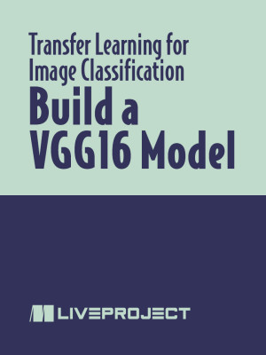 Build a VGG16 Model