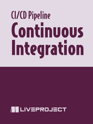 Continuous Integration