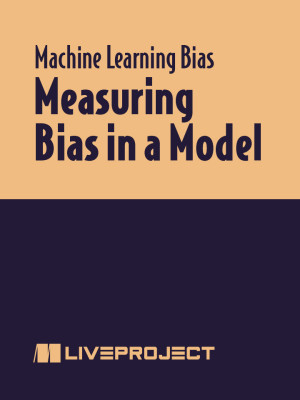 Measuring Bias in a Model