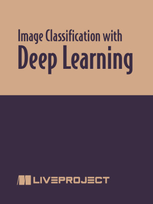Image Classification with Deep Learning