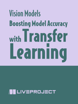 Boosting Model Accuracy with Transfer Learning