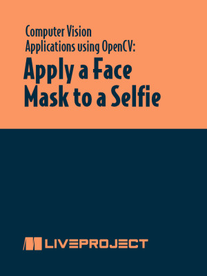 Apply a Face Mask to a Selfie