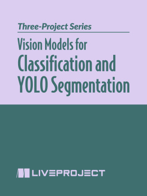 Vision Models for Classification and YOLO Segmentation