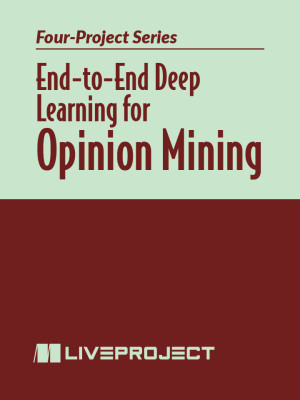 End-to-End Deep Learning for Opinion Mining