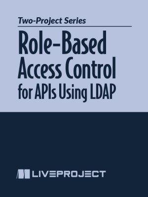 Role-Based Access Control for APIs Using LDAP