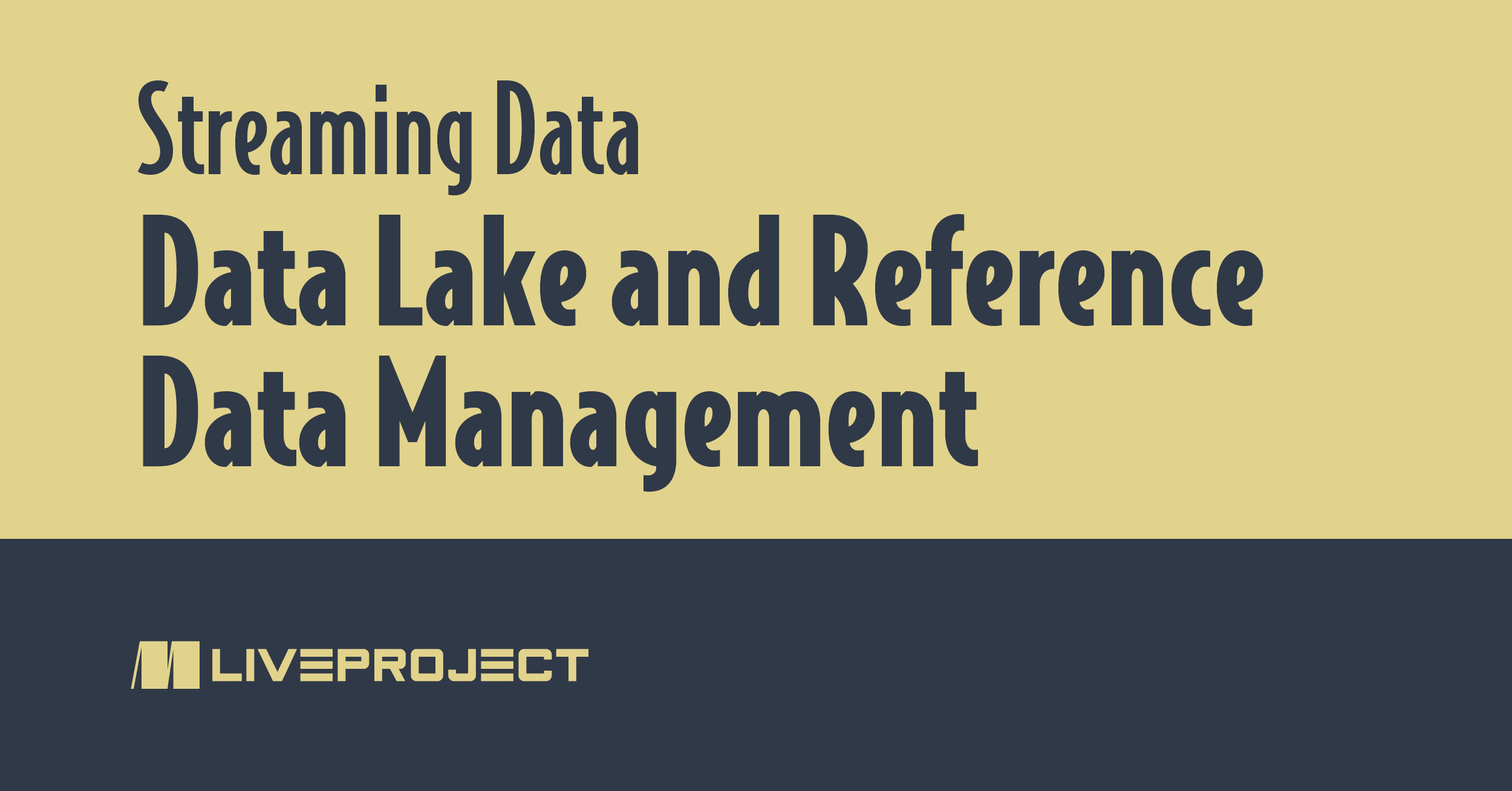 Data Lake and Reference Data Management - Gianluigi Mucciolo