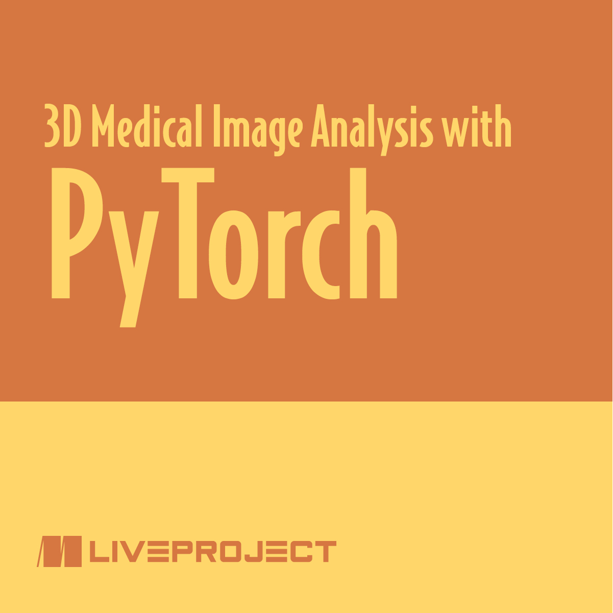 3D Medical Image Analysis with PyTorch